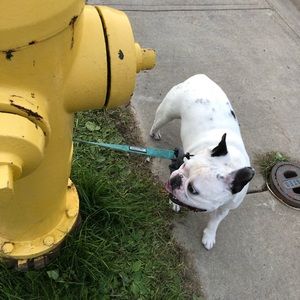 Meet your Posher, Emma